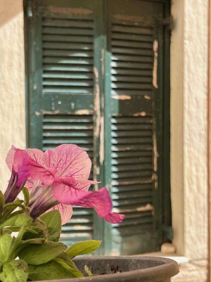 דירות Corfu  Casa Di Porto מראה חיצוני תמונה